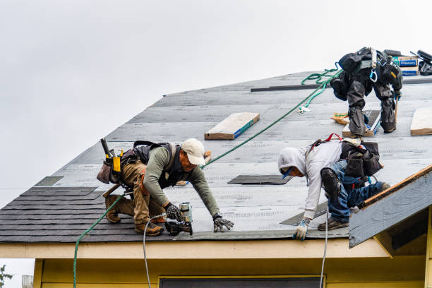 Professional Roofing technician working in International Falls, MN